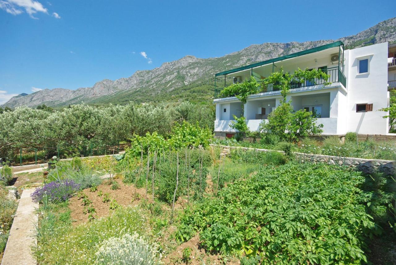 Apartmani Maslina Gradac  Exterior foto