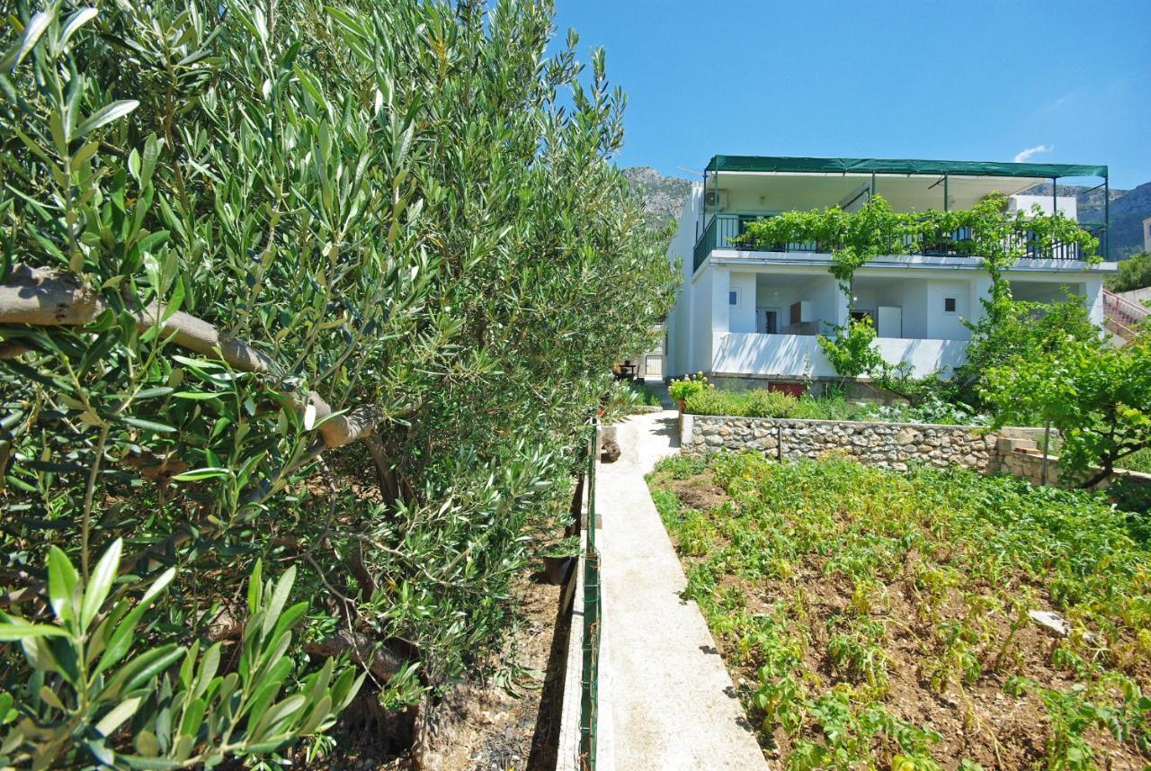 Apartmani Maslina Gradac  Exterior foto