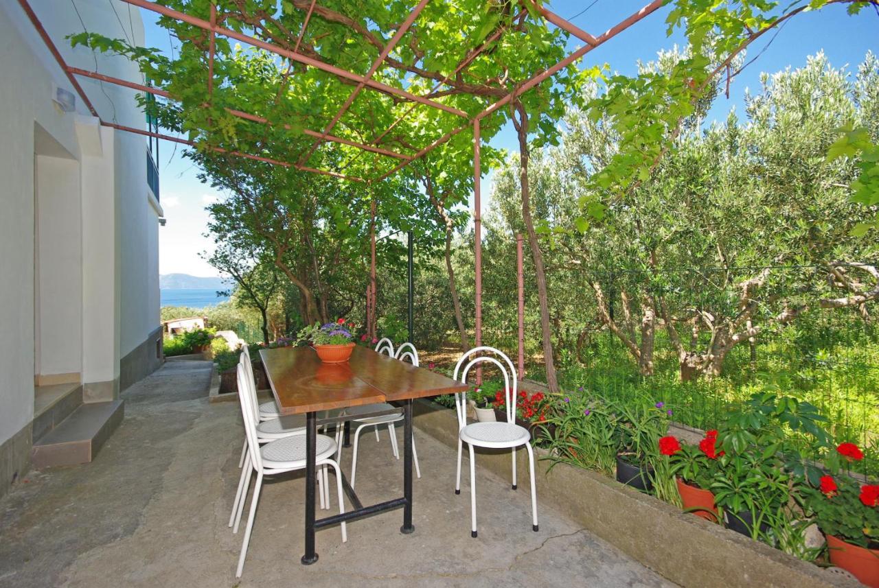 Apartmani Maslina Gradac  Exterior foto