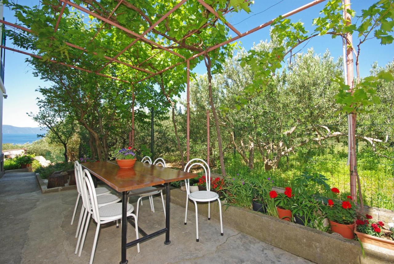 Apartmani Maslina Gradac  Exterior foto