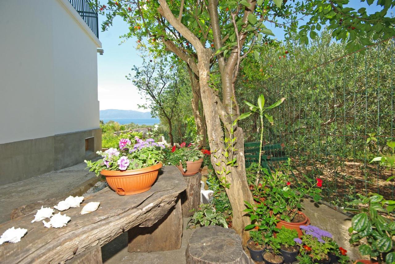 Apartmani Maslina Gradac  Exterior foto